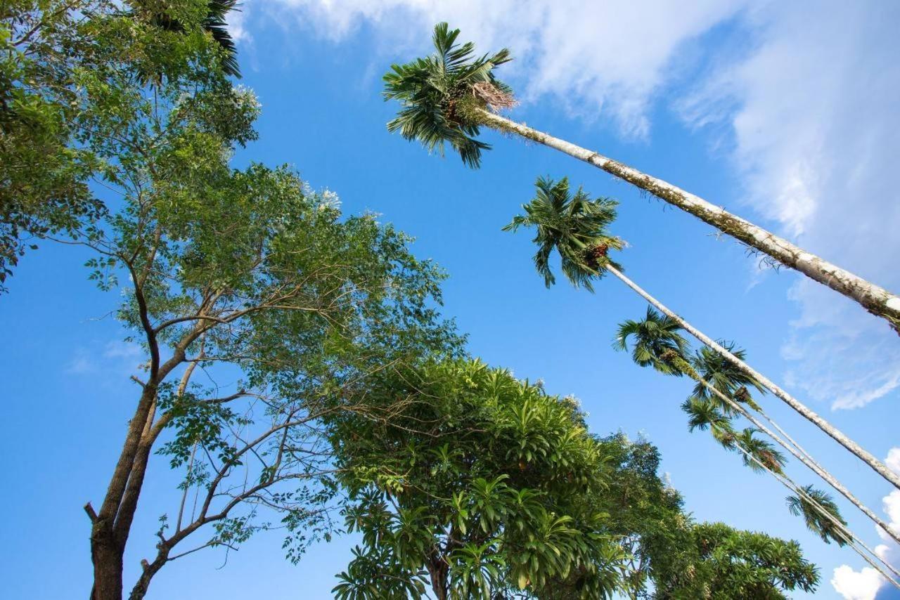 Baan Chong Fa Resort Khao Lak Luaran gambar